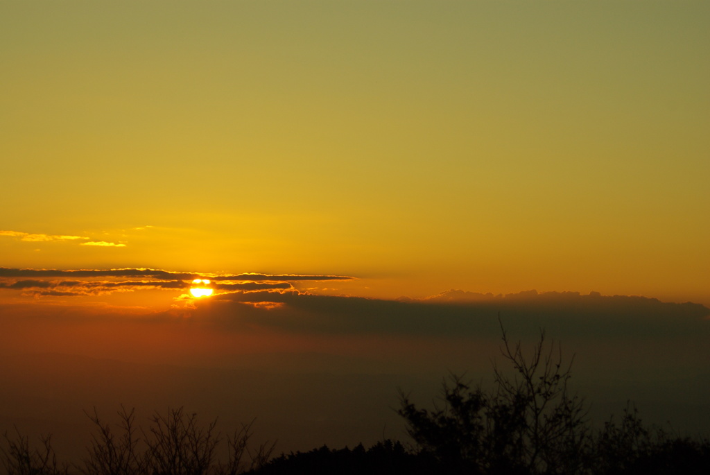 夕日