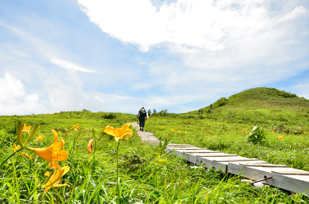夏の山