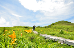 夏の山