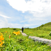夏の山