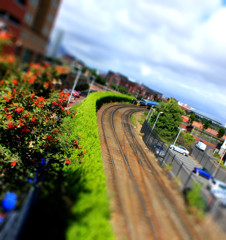 Belfast Train