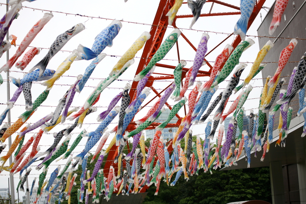 鯉のぼり