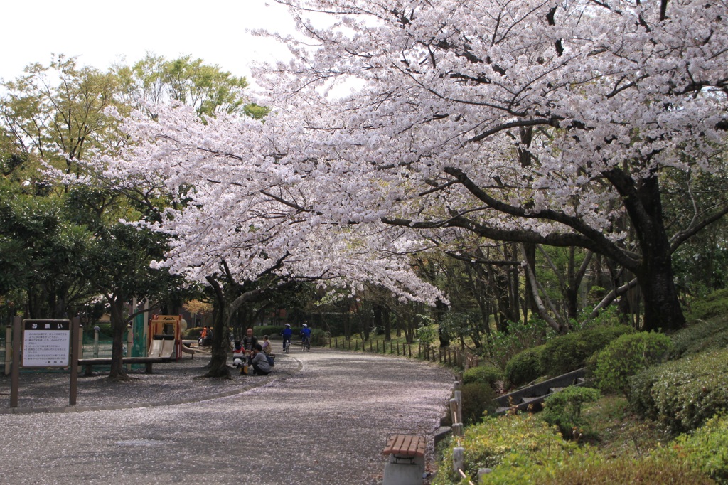 haru