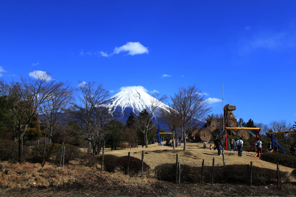 富士山