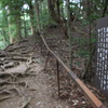 根の道