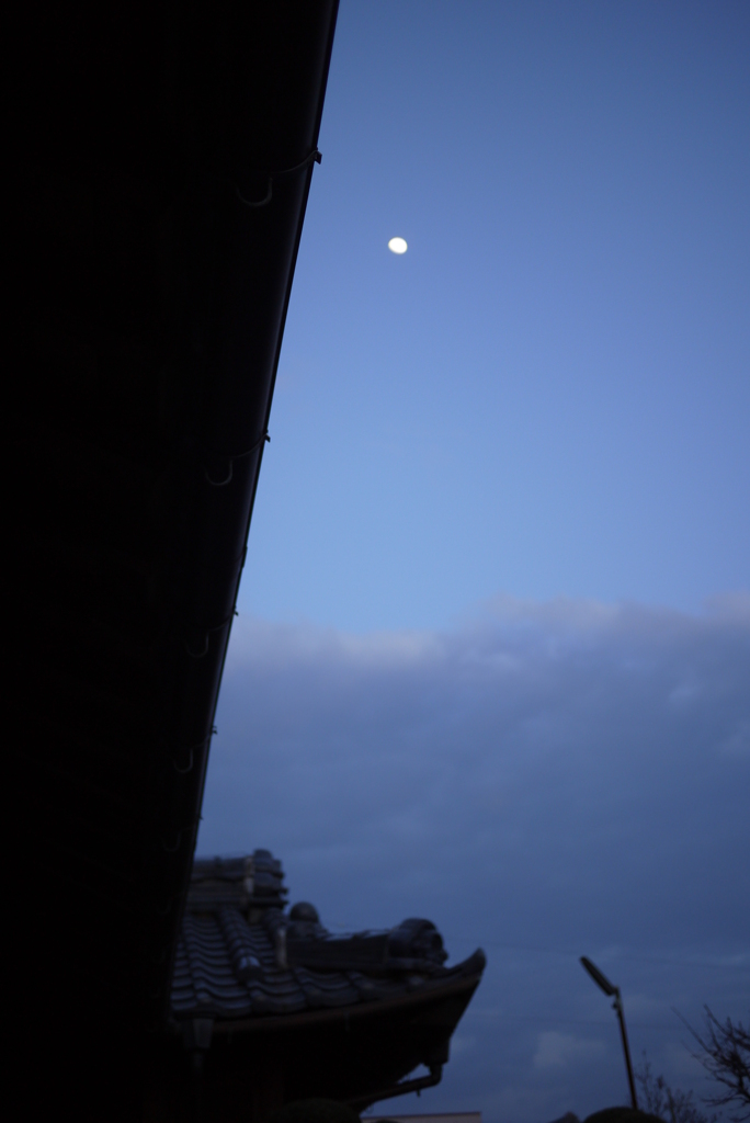 屋根越し月