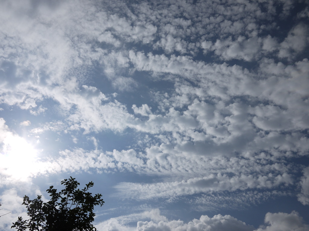 空
