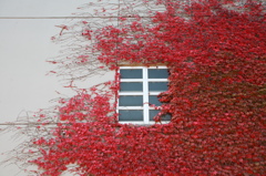 紅Ⅱ