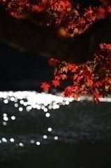 山もみじ