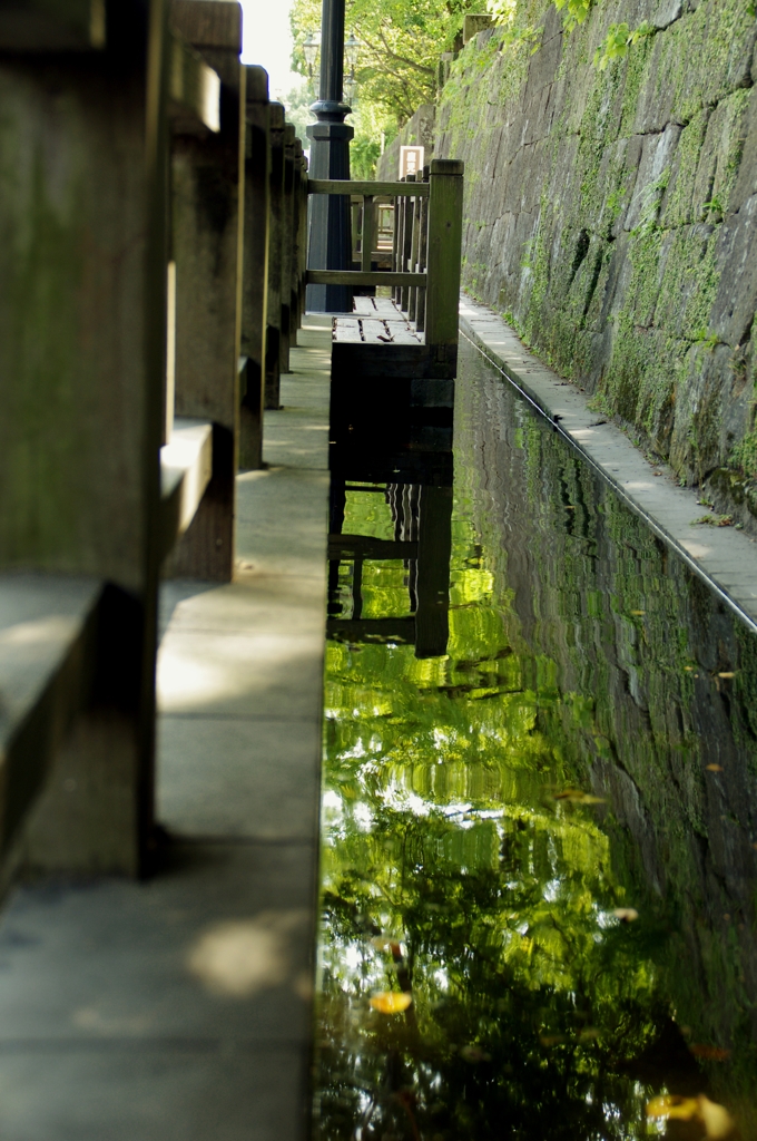 光ゆらぐ水路