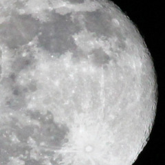 １６夜