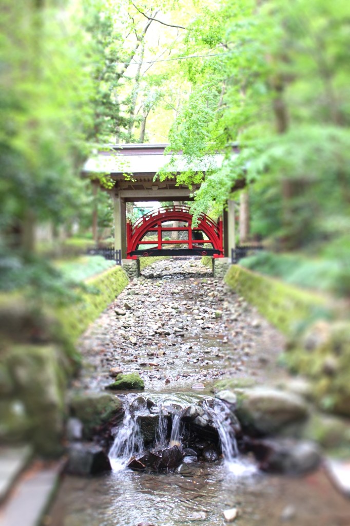水辺