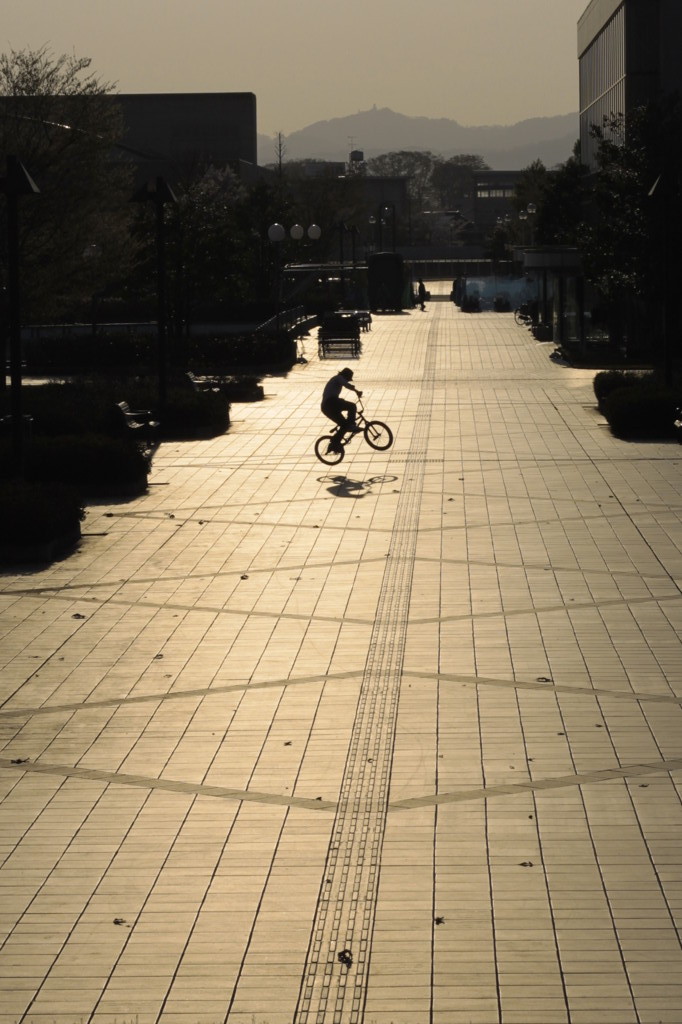 rider