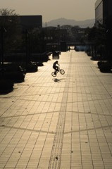 rider