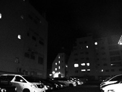 RIMG0107