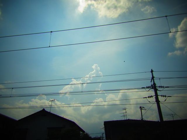 RIMG0020