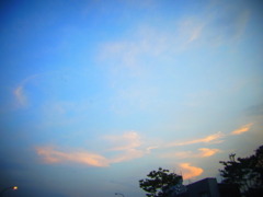RIMG0222