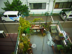 RIMG0055