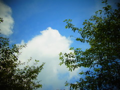 RIMG0178