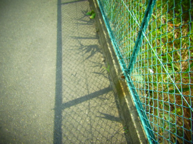 RIMG0021