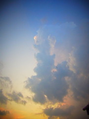 RIMG0074