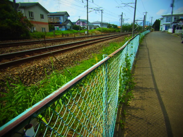 RIMG0019