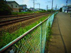 RIMG0019