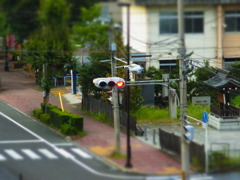 RIMG0065
