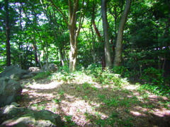 RIMG0011