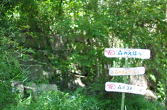えほんの郷