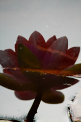 水鏡