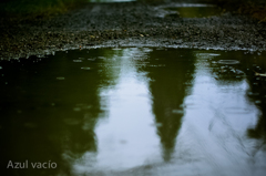 雨煙る