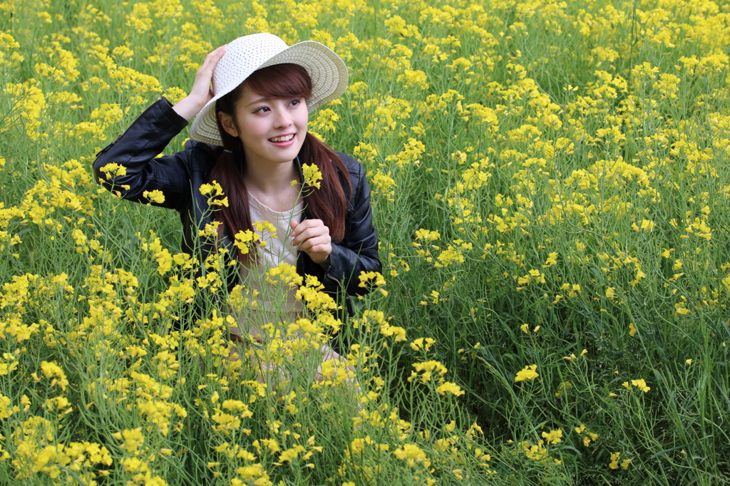 菜の花フェスティバル