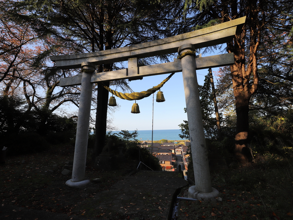 鳥居から日本海を望む