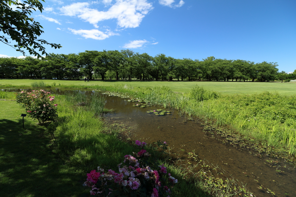 富山県立中央植物園