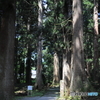 雄山神社 参道