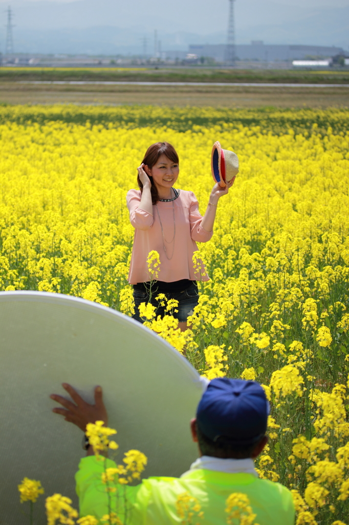 菜の花フェスティバル(6)