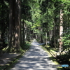 雄山神社 参道