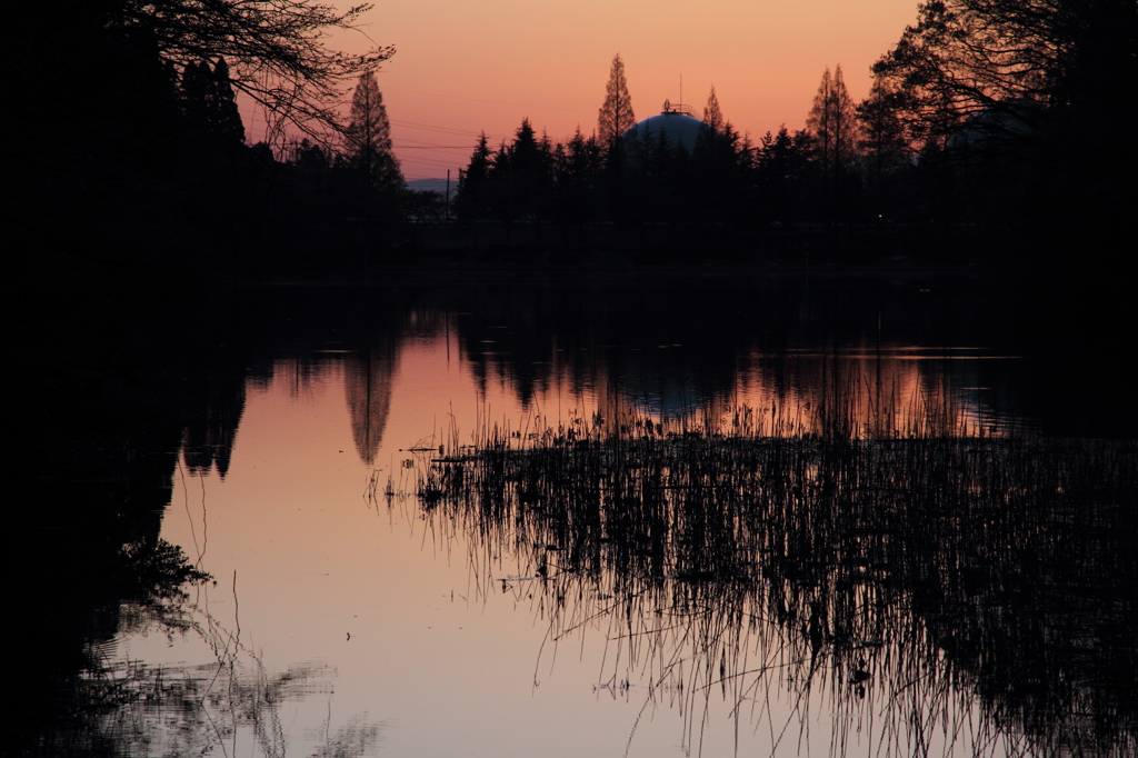 夕暮れ1　薬勝寺池