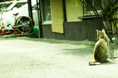 じーっ