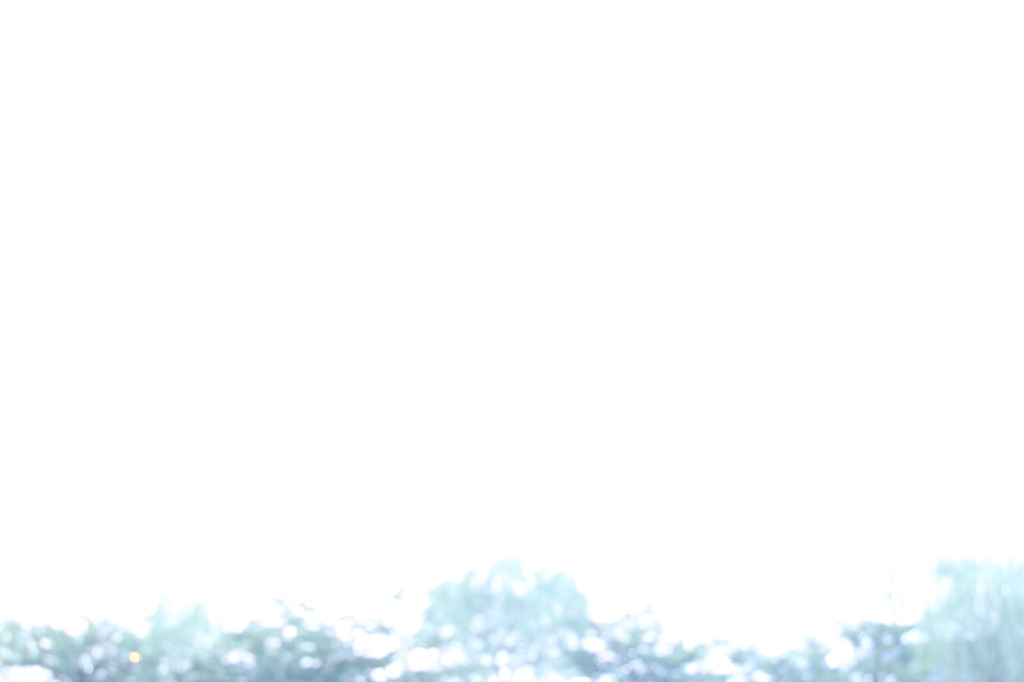 朝です