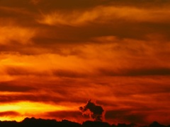 DSCF6276