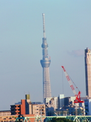 DSCF6231