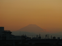 DSCF6279