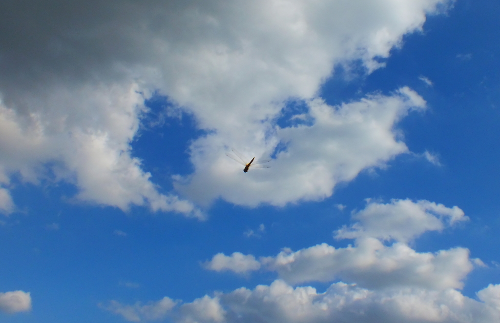 DSCF6107