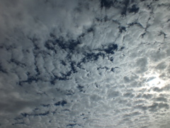 DSCF0279
