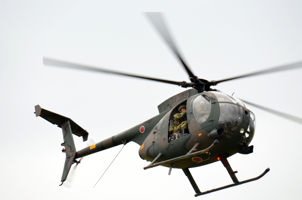 OH-1D