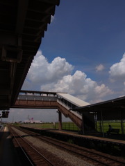 夏雲