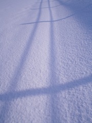 雪