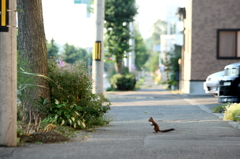 人のそばに